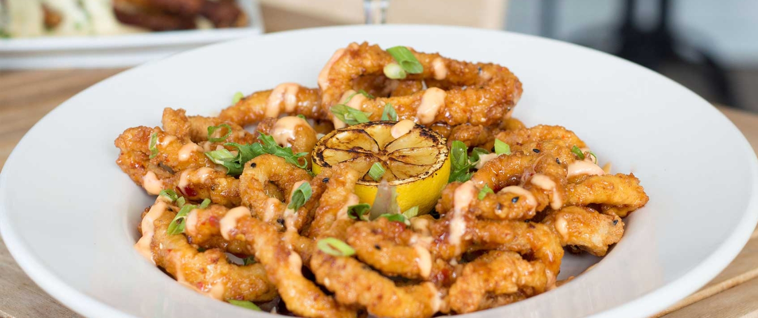 fried calamari app